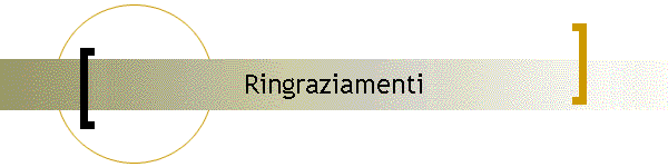 Ringraziamenti